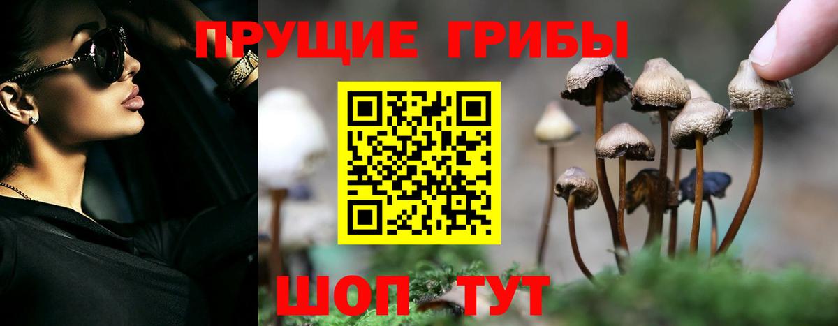 Галлюциногенные грибы мицелий Янаул