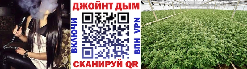 Шишки марихуана сатива  где купить наркотик  omg ССЫЛКА  Янаул 